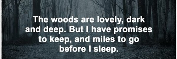 QueenMaraSov Profile Banner