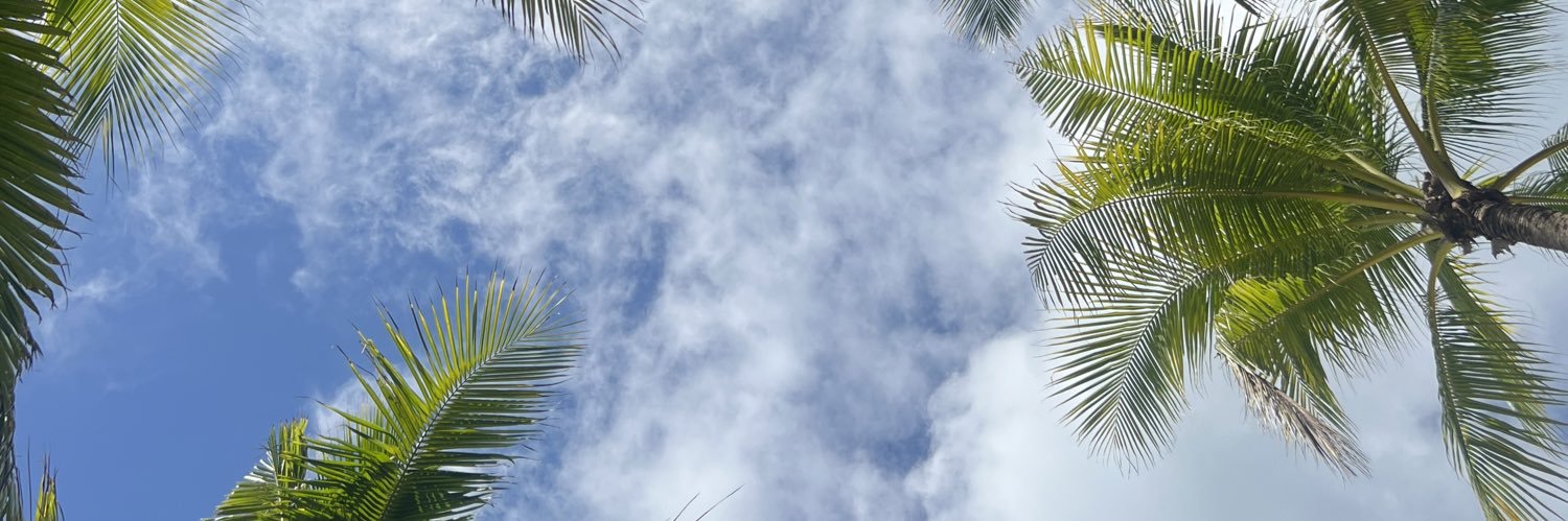 drkrisdee's profile banner image