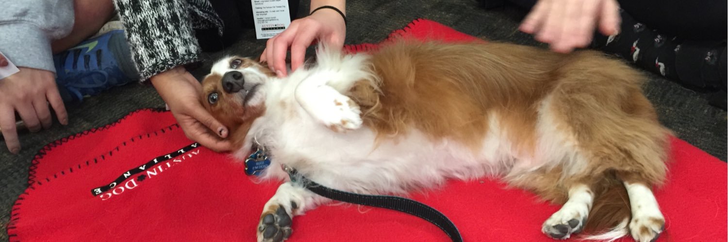 Buzz DeafTherapyDog banner