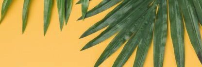 nadjauza's profile banner image