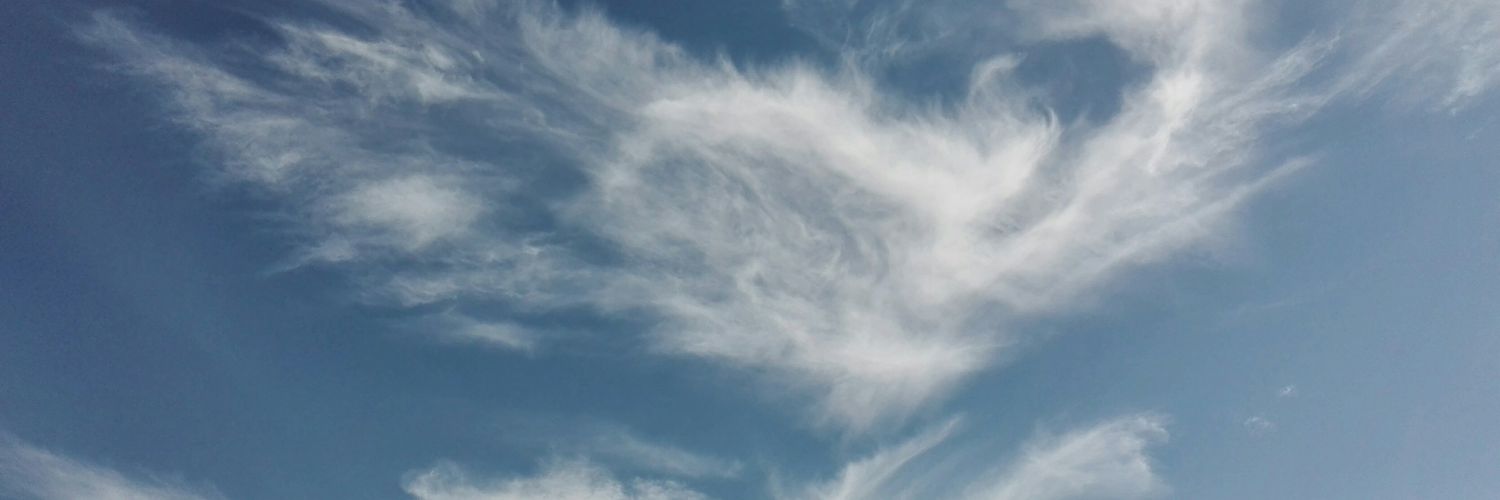 Ruhlex's profile banner image