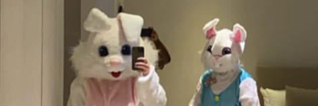 lanasibet's profile banner image