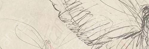 mathildexh's profile banner image