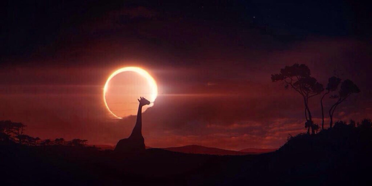 notaxlfoley's profile banner image