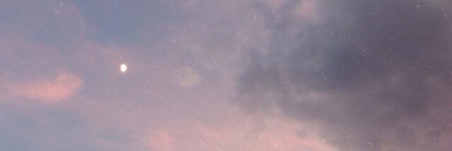 ellenawex's profile banner image