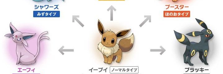 橙華とっつぁん@パラオ甲㉝備後団長P banner