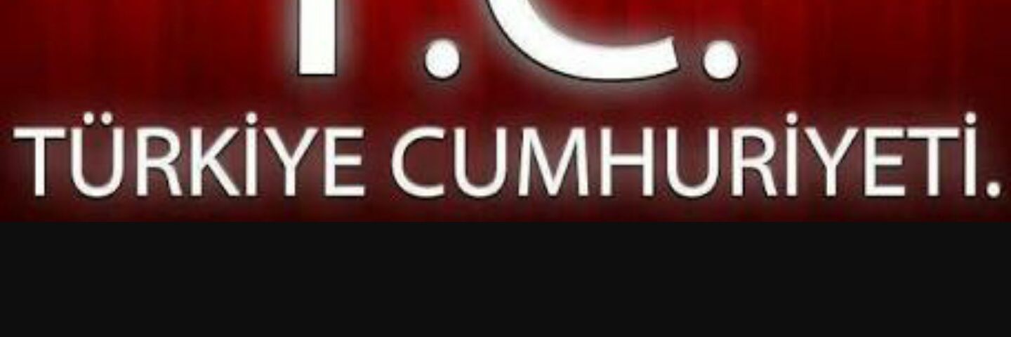aysegul1979's profile banner image