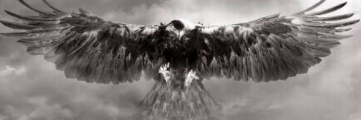 nlovski's profile banner image