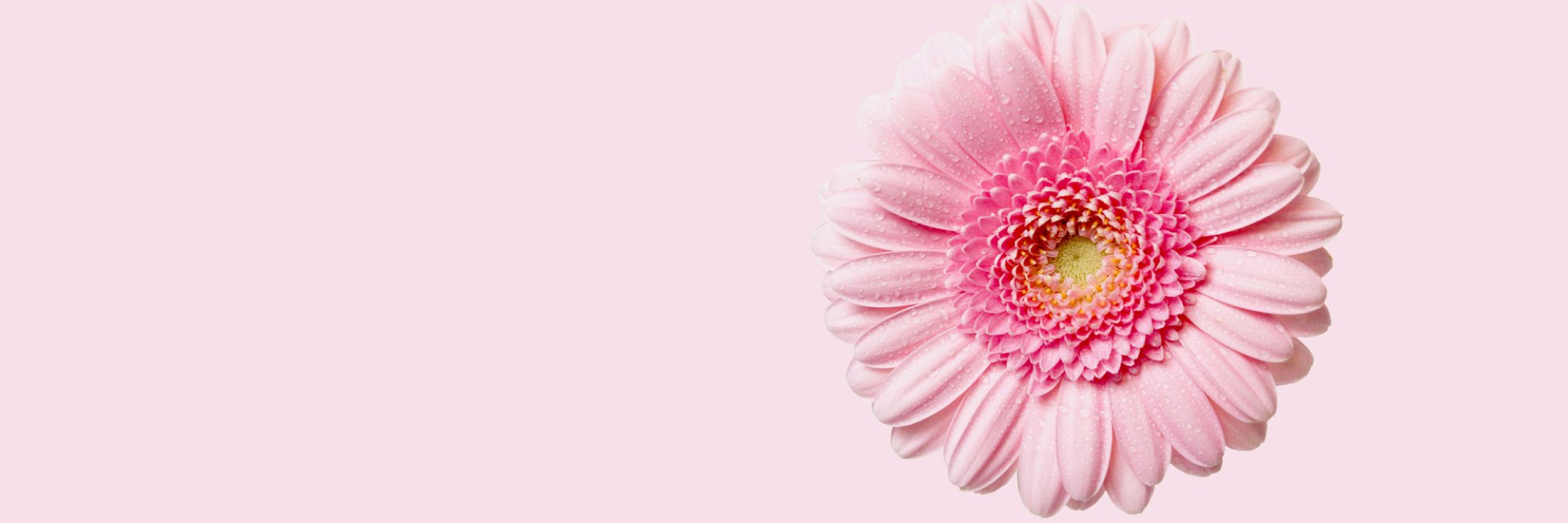 grup_digital's profile banner image