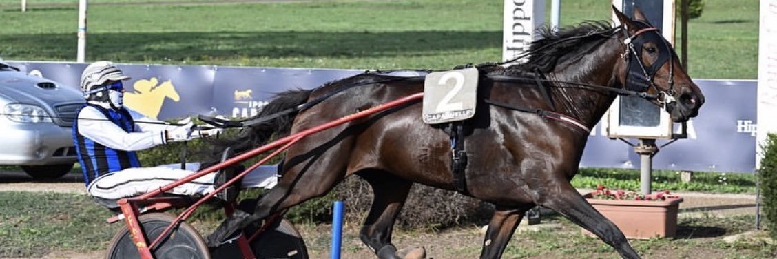 MaxCastaldo's profile banner image
