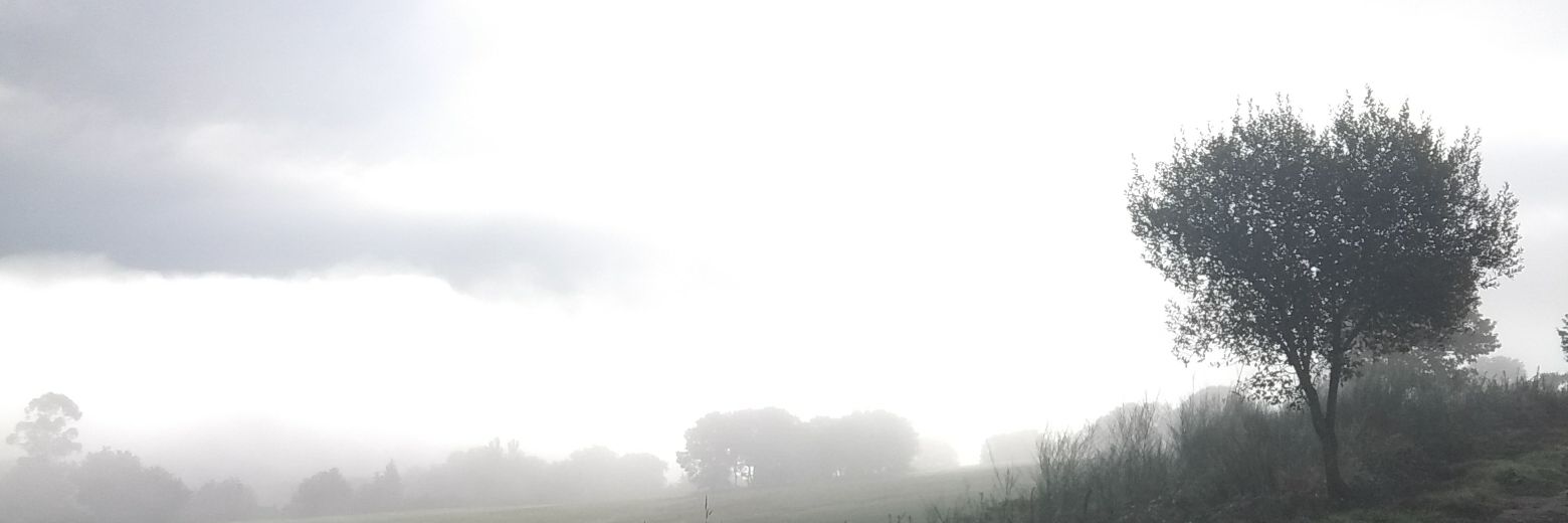majegoru's profile banner image