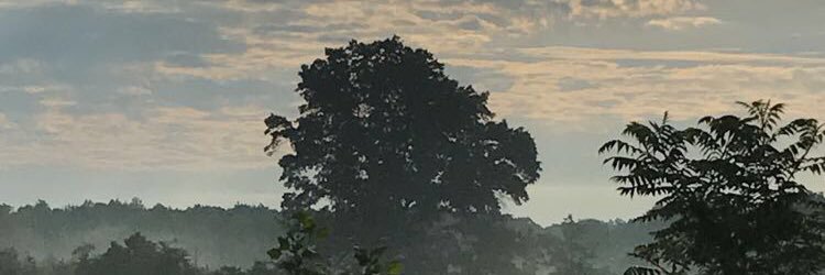 BooBoo92874's profile banner image