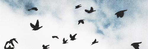 hicashew's profile banner image