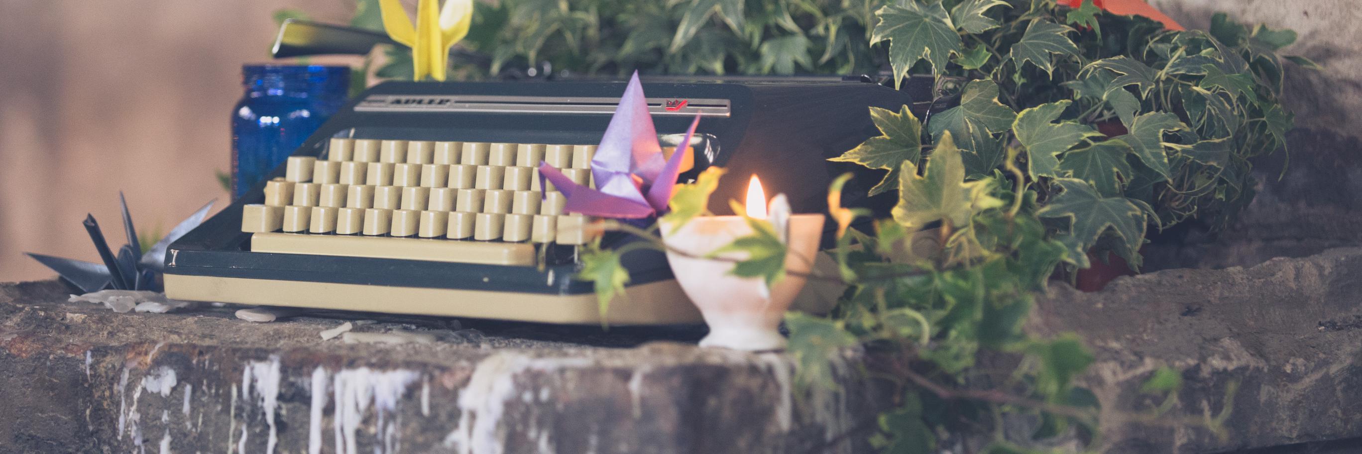 AmyJaneBourke's profile banner image