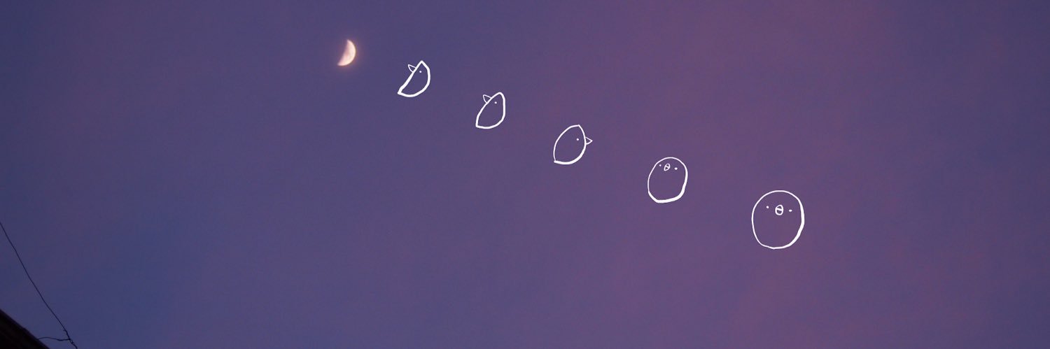 l____43cm____l's profile banner image