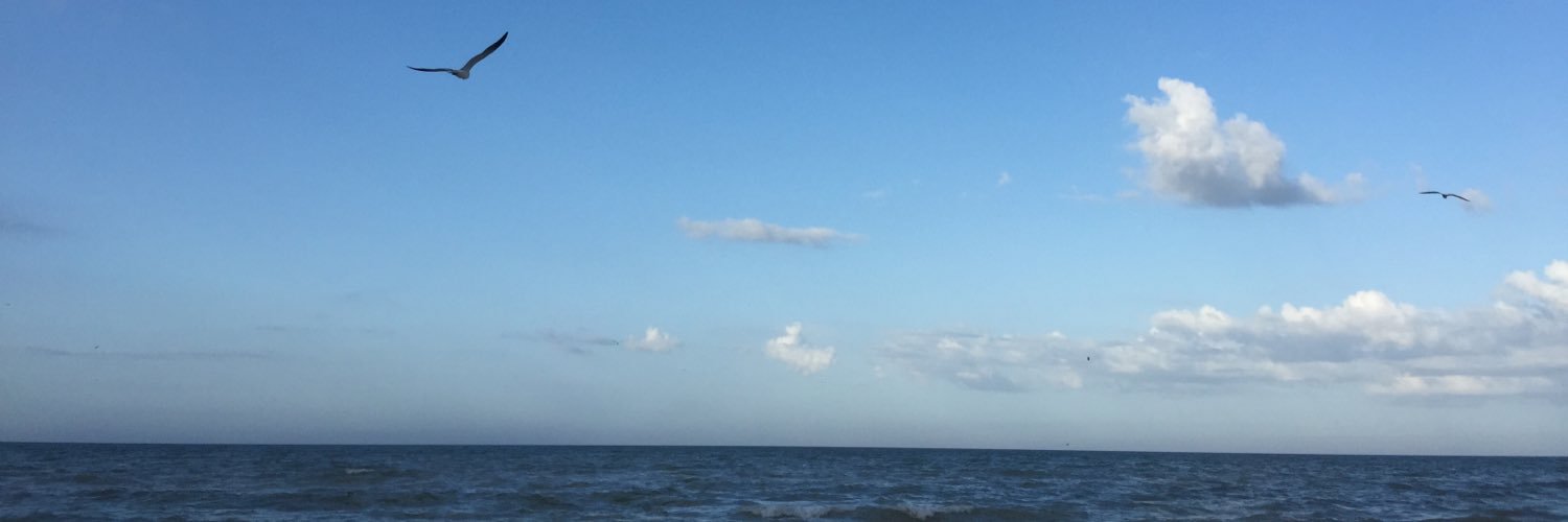 ChelseaLevine6's profile banner image