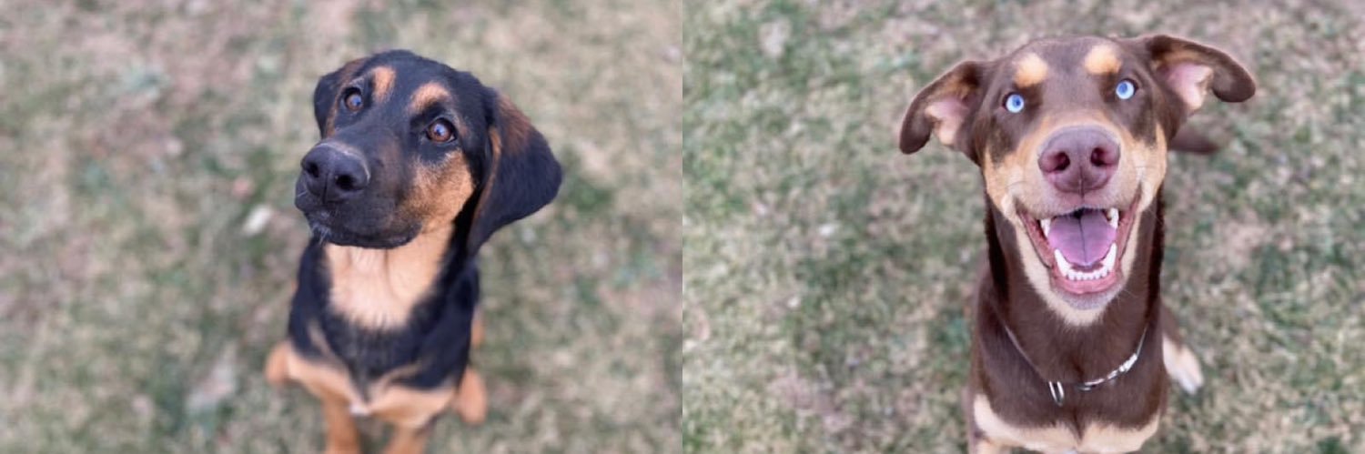 ellahogan25's profile banner image