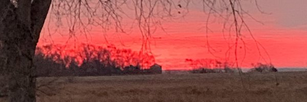 NeilFultonSD Profile Banner