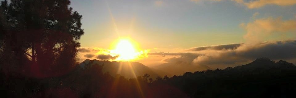 psychpromdi's profile banner image
