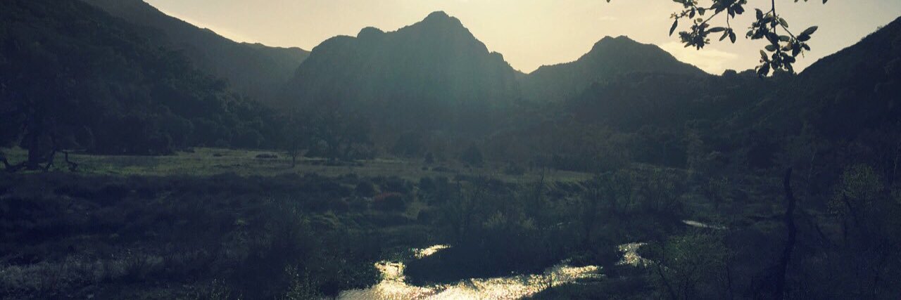 Bozeman’s Simplex banner