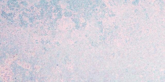 cindypcp's profile banner image
