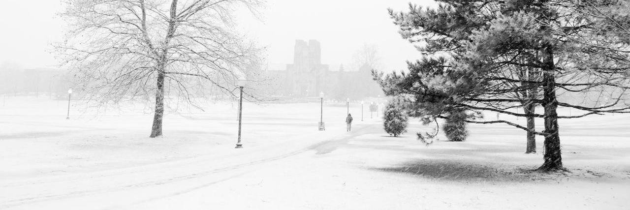 I am 🇲🇾🇵🇸 banner