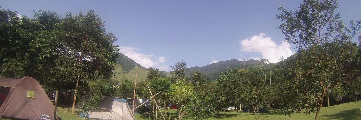 Tatuador de Anime 愛 banner