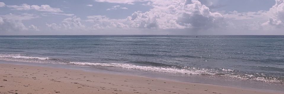 avaree potts banner