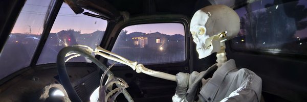 HornetsSting Profile Banner