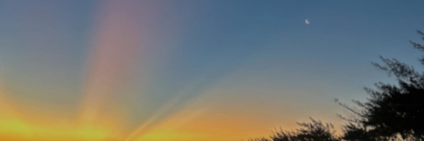 ayllanabs's profile banner image