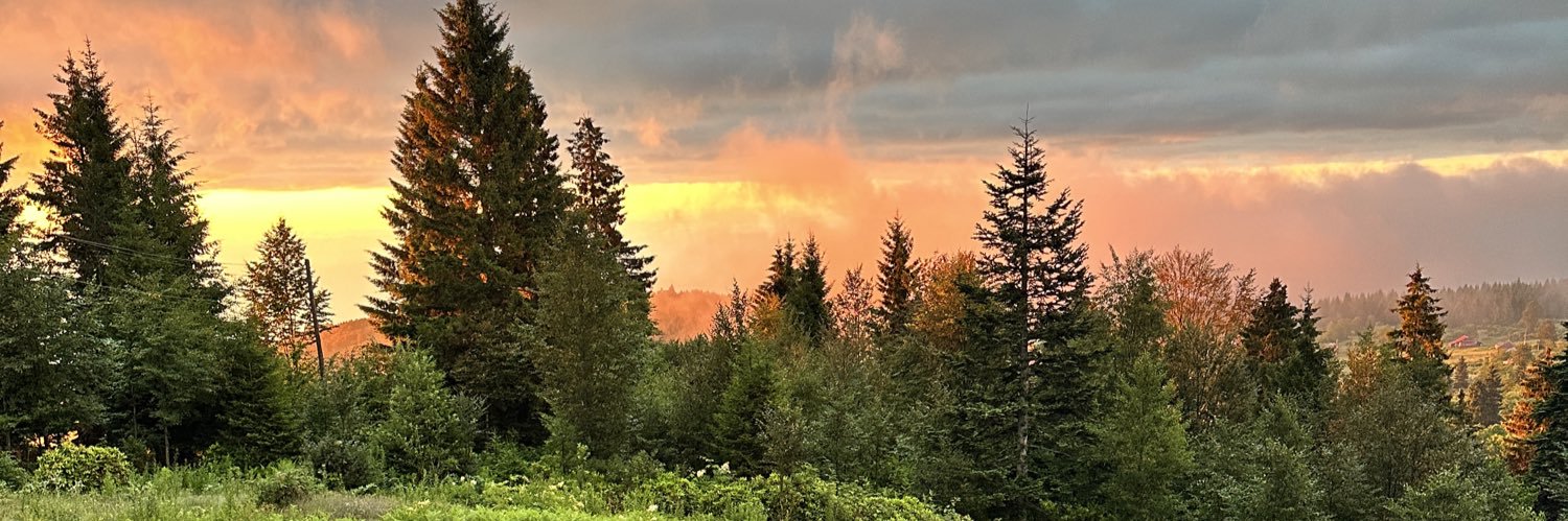vaconoz's profile banner image