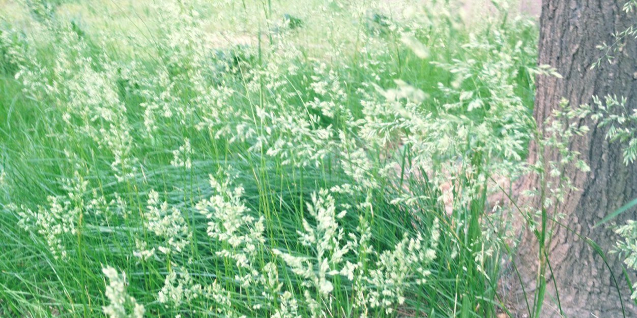 checkmaeng's profile banner image