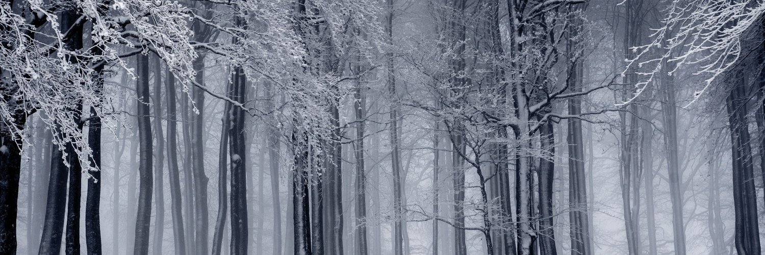 MeganIsSaying's profile banner image