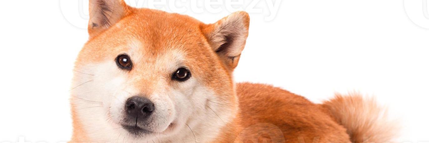 str8tshot's profile banner image