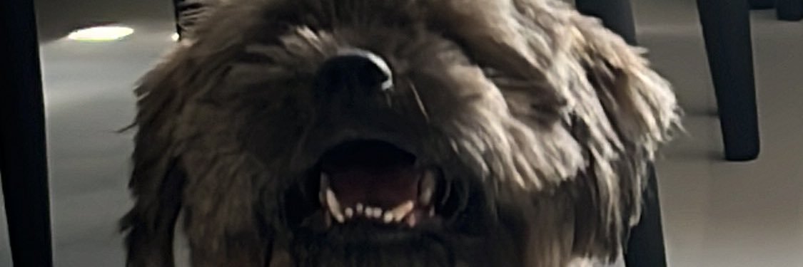 k4thleengail's profile banner image