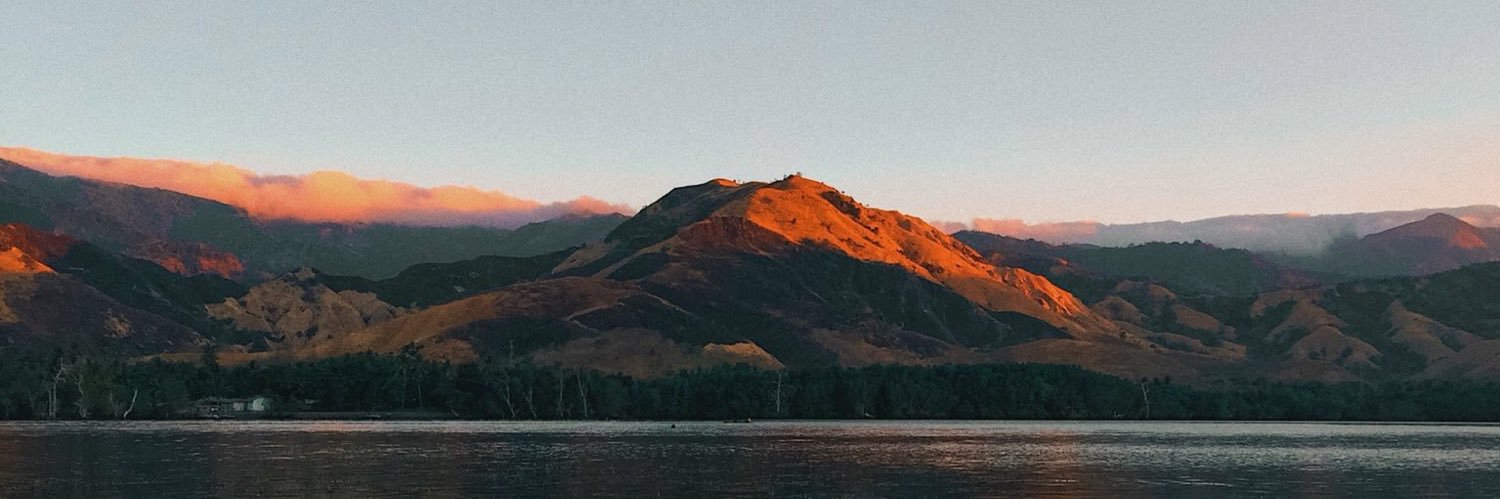 nrzzln_'s profile banner image