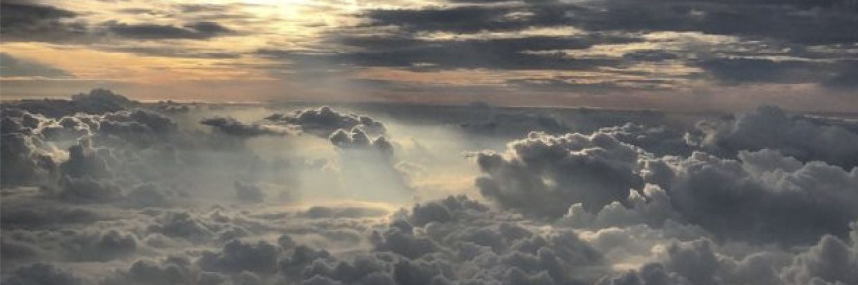 bosh1123's profile banner image