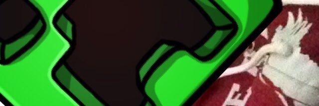 MRmcrafter170's profile banner image