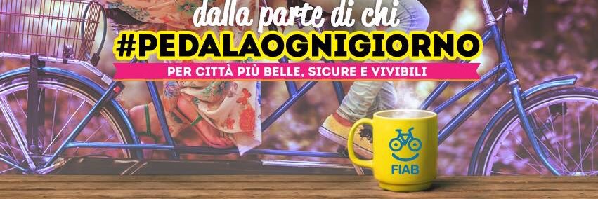 cippalagatta's profile banner image