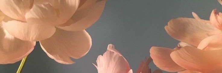 UlanKR14's profile banner image
