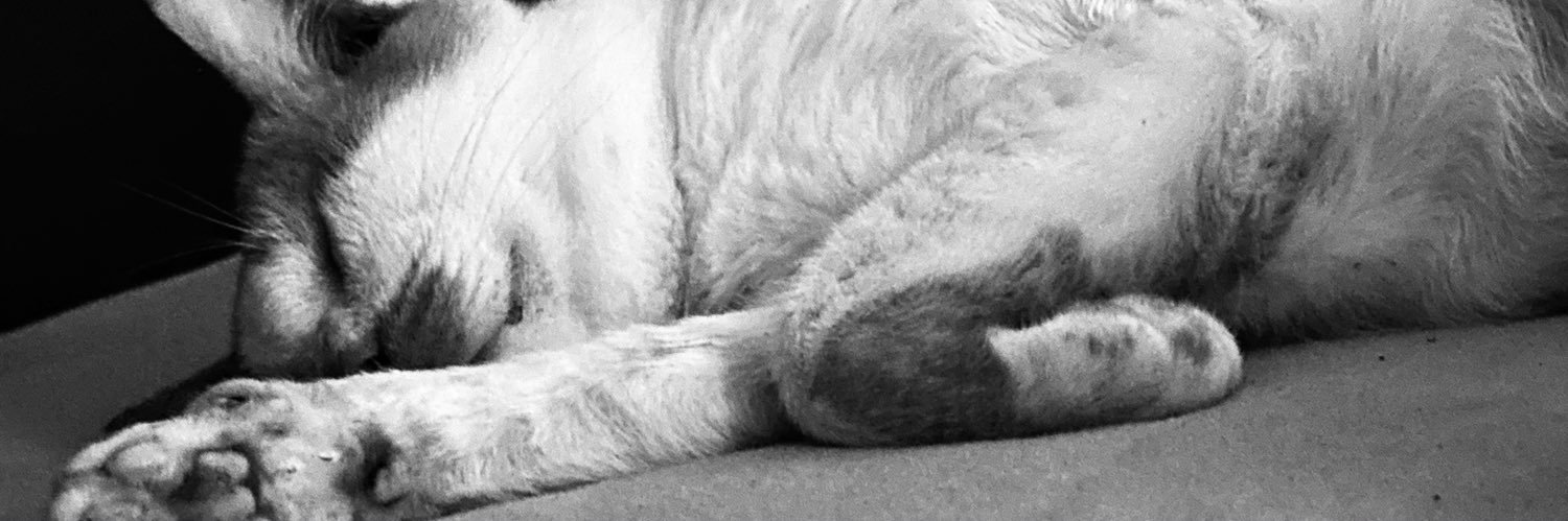 perempuan di gunung banner