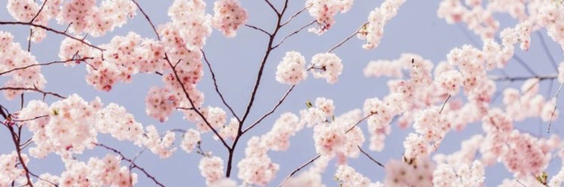 lorenaolea14's profile banner image