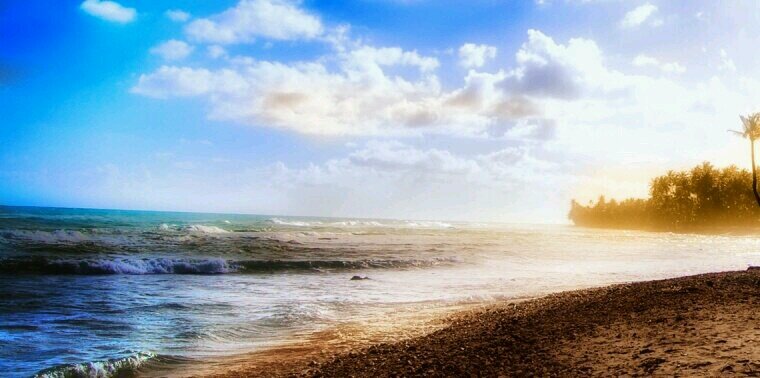 IvanaTesorero6's profile banner image