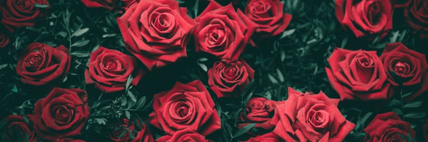 DrMero93's profile banner image
