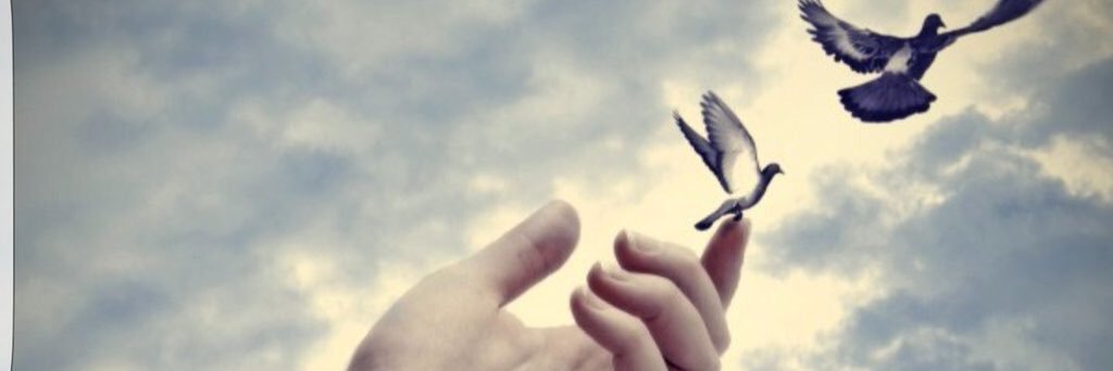 meed3322's profile banner image