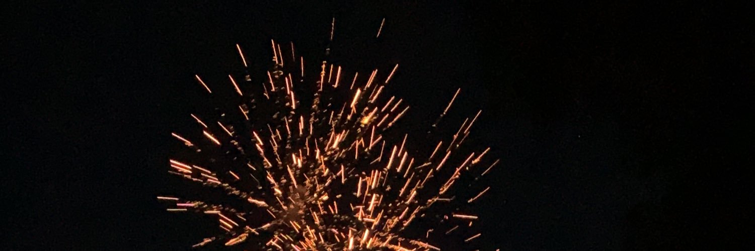 emilymarievdp's profile banner image