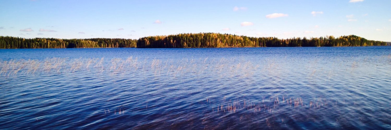 VeePee Hämäläinen banner