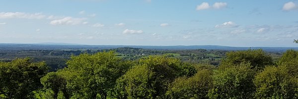 JuliaDalton3 Profile Banner