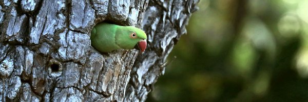 Vigneshwar_Ch Profile Banner