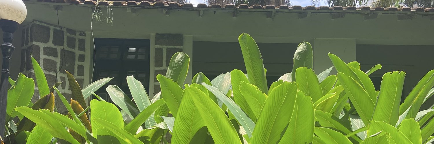 fmarigomes's profile banner image